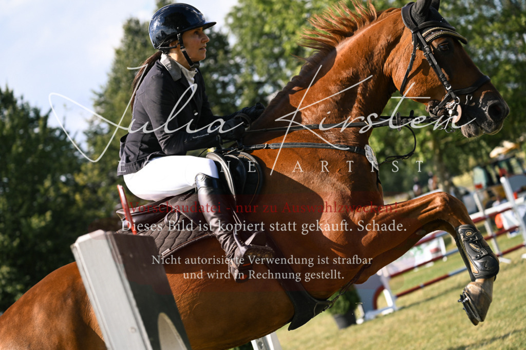 DSC_1389 | Pferde- und Turnierfotografie in Westsachsen. Pferdeportraits, Auftragszeichnungen und intuitive Kunst.