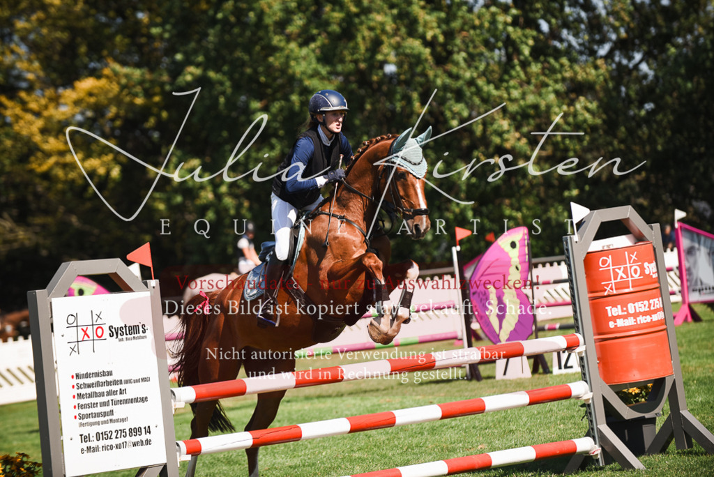 DSC_2845 | Pferde- und Turnierfotografie in Westsachsen. Pferdeportraits, Auftragszeichnungen und intuitive Kunst.
