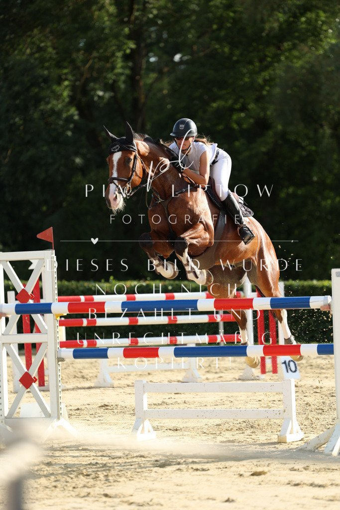 IMGM3901 | pl-fotografie