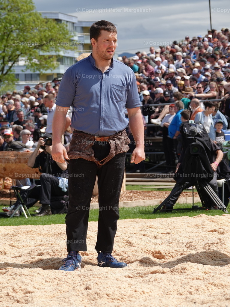 DSC06384 | Schwingen - Realisiert mit Pictrs.com