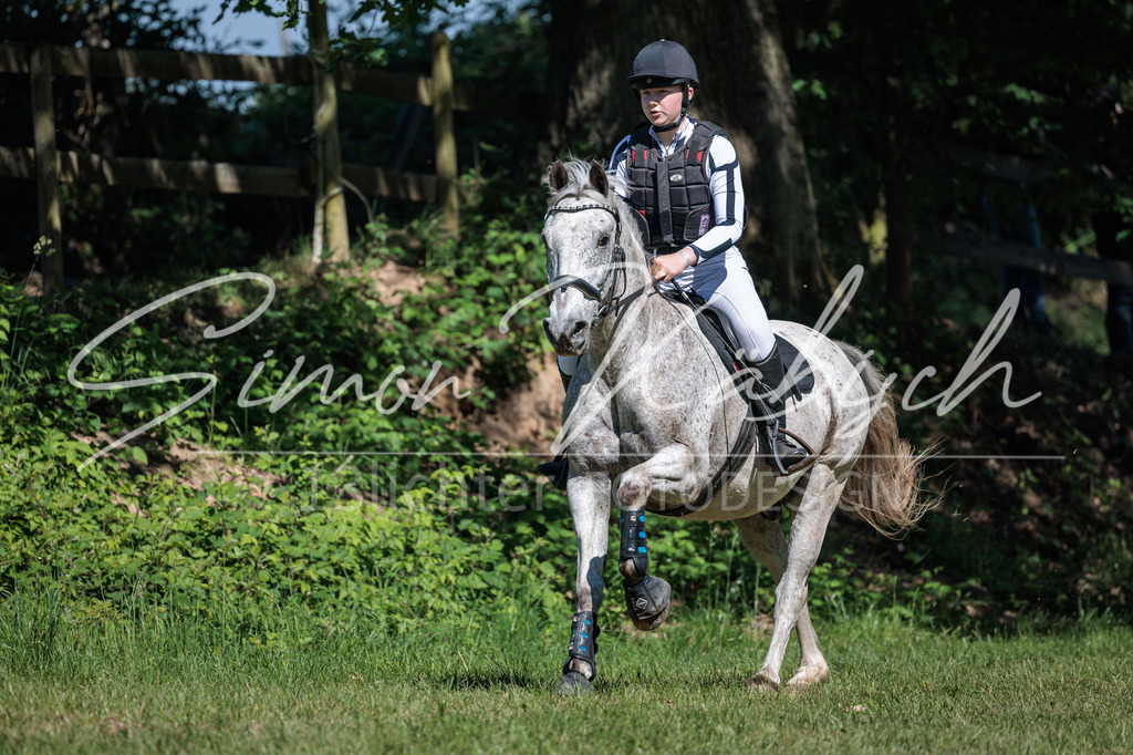 20260523-_3LI7206 | Tierfotografie Pferde, Hunde, Katzen, Haustiere.
Turnierfotografie Reitturniere, Reiten, Springreiten, Dressur in Hanau, dem Main-Kinzig-Kreis und dem Rhein-Main- Gebiet um Frankfurt