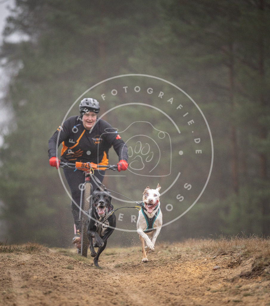 Pfotenfotografie_DV3A1055 | Hundefotografie, Tierfotograf, Pfotenfotografie, Fotoshooting Hund, Hunde Portrait, Hundesport, Hundeportraits, Heideshooting, Hunde, Sportfotograf, Hundefotograf, Turnierhundsport, THS,  - Realisiert mit Pictrs.com