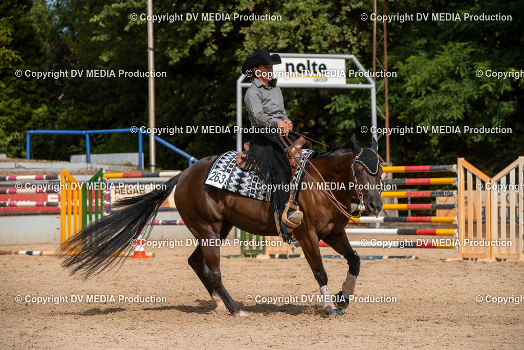 EWP_5910 | dv-media-shop - Realisiert mit Pictrs.com