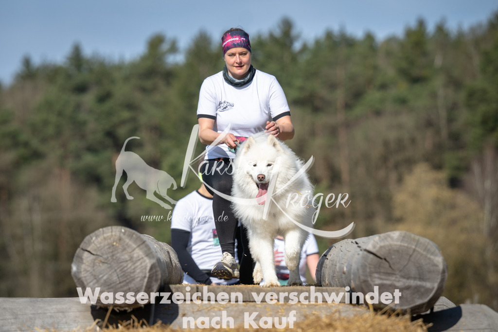 1012_ZZ99599 | kk-dogfotos