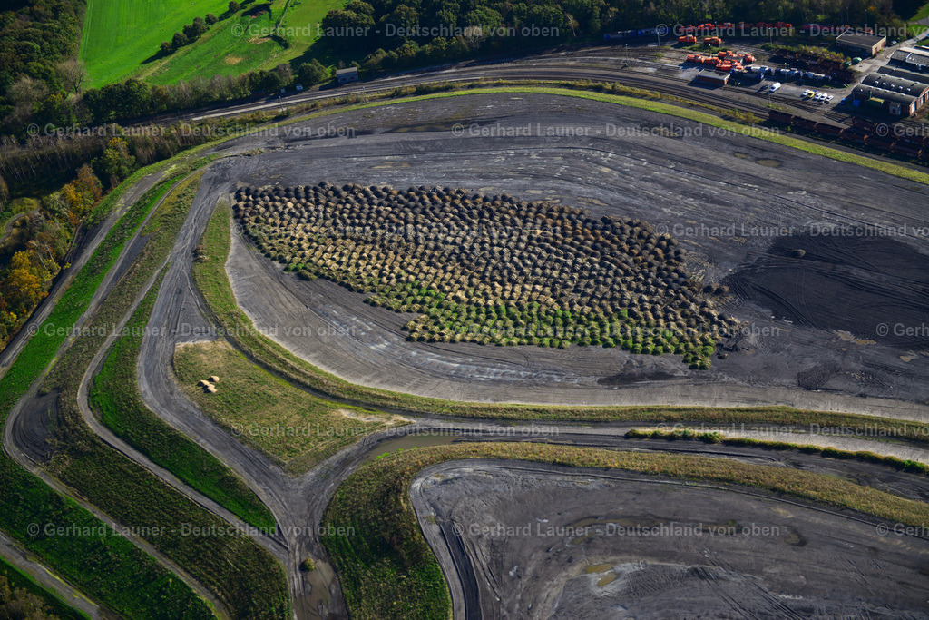 3491672 | ehemalige Halde Zeche Auguste Victoria, Marl-Hüls