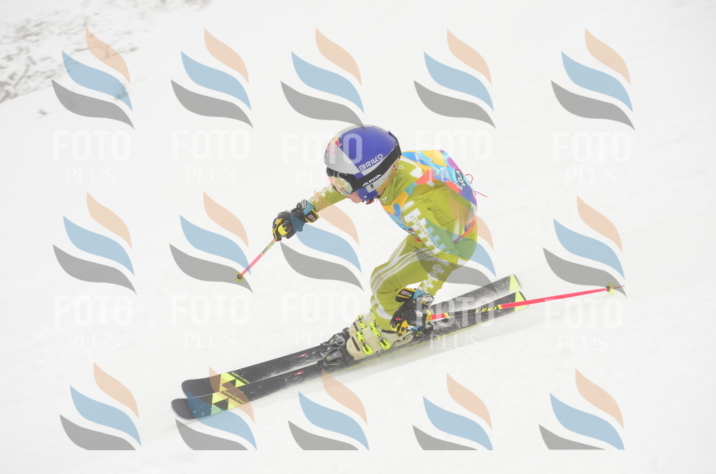 C1670 | holidayphoto