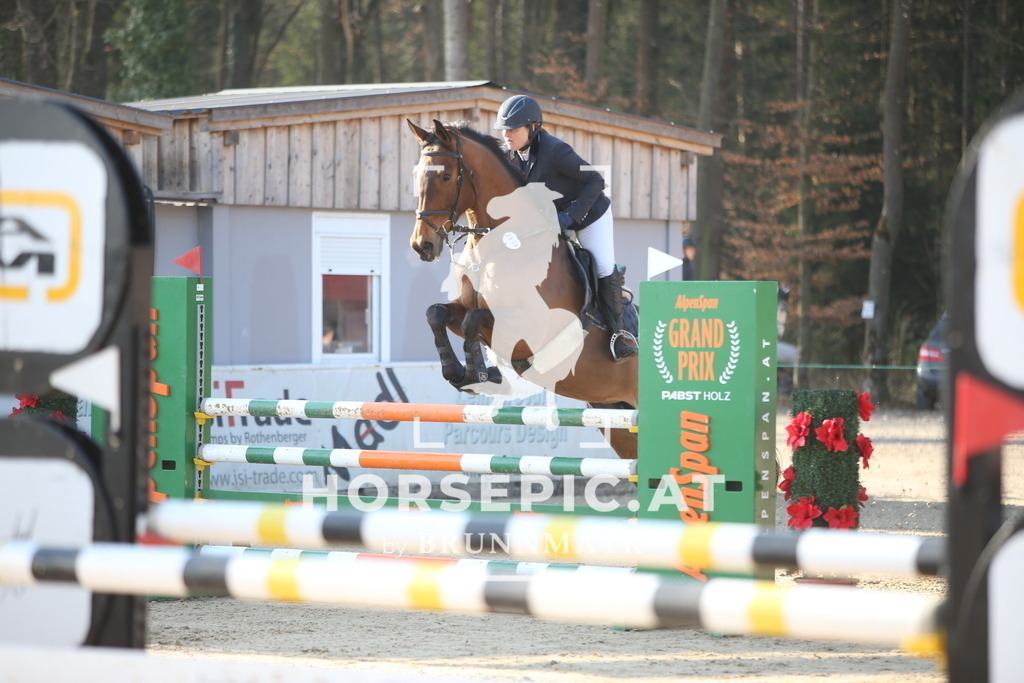 AS8V4834 | Willkommen bei Brunnmayr - Design & Fotografie – Ihrem Spezialisten für Reitturniere und Pferdeveranstaltungen in Oberösterreich, Salzburg und Bayern! Seit über 17 Jahren sind wir leidenschaftlich dabei.