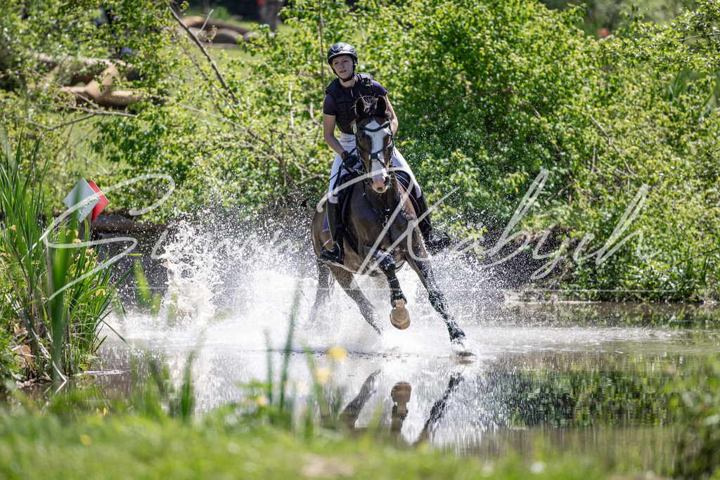 20260523-_3LI8847 | Tierfotografie Pferde, Hunde, Katzen, Haustiere.
Turnierfotografie Reitturniere, Reiten, Springreiten, Dressur in Hanau, dem Main-Kinzig-Kreis und dem Rhein-Main- Gebiet um Frankfurt