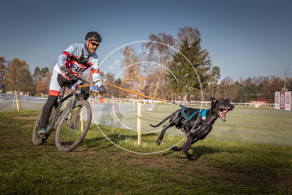 CaniXpix_0L8A7233 | Hundefotografie, Tierfotograf, Pfotenfotografie, Fotoshooting Hund, Hunde Portrait, Hundesport, Hundeportraits, Heideshooting, Hunde, Sportfotograf, Hundefotograf, Turnierhundsport, THS,  - Realisiert mit Pictrs.com