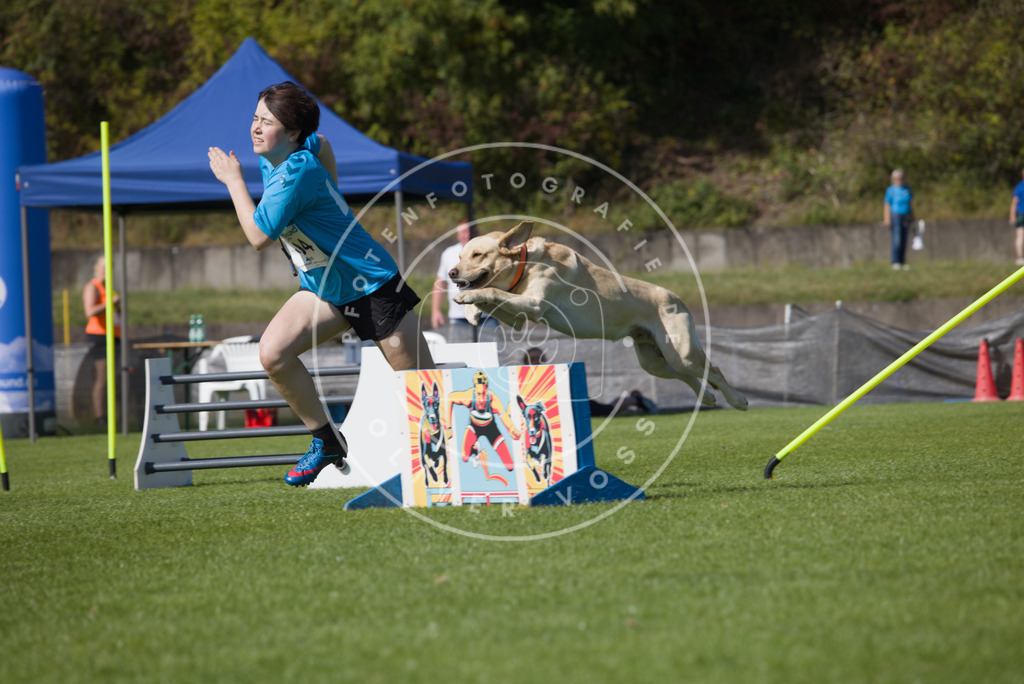 0L8A7624 | Hundefotografie, Tierfotograf, Pfotenfotografie, Fotoshooting Hund, Hunde Portrait, Hundesport, Hundeportraits, Heideshooting, Hunde, Sportfotograf, Hundefotograf, Turnierhundsport, THS,  - Realisiert mit Pictrs.com