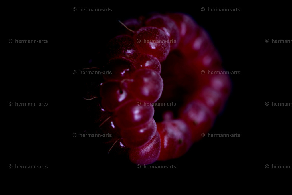 Fruits-Art-025 | Photo Foto Kunst Art schwarzweiss Bilder Rheine Münster Berlin Blumen 