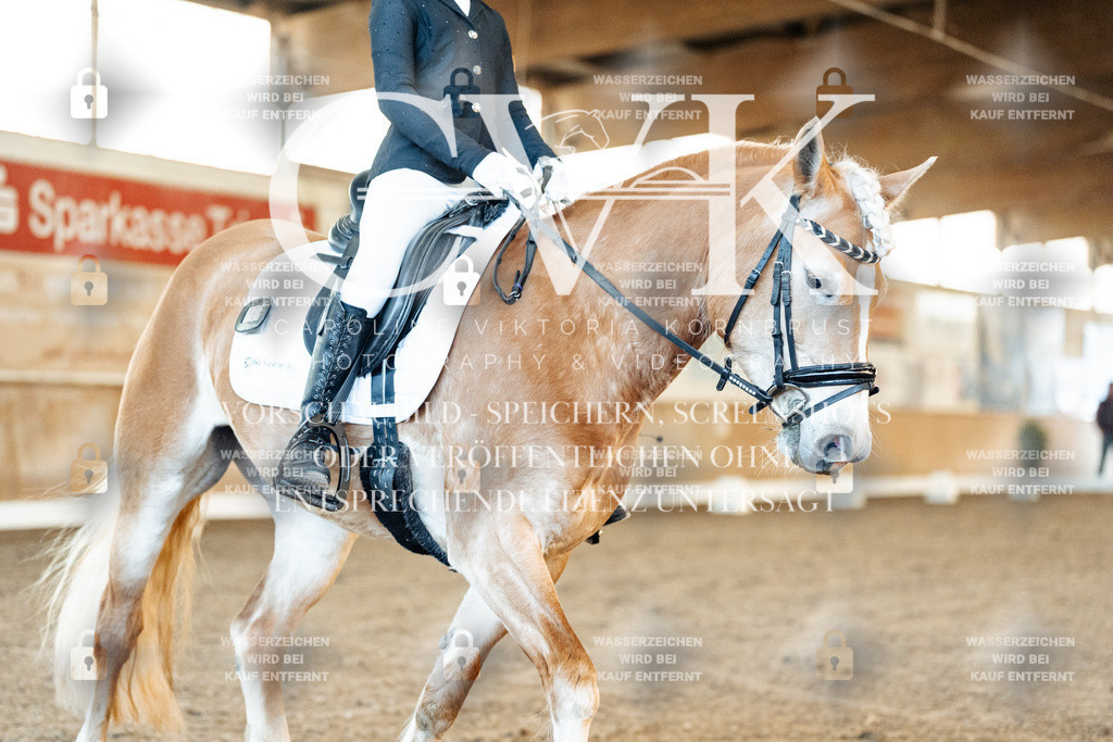 CK907344 | Turnierfotografie Pferdefotografie Trier Rheinland-Pfalz Pferdesport Reitsport Tierfotografie Sportfotografie Pferdevideo Pferdevideografie Equestrianvideography equestrianphotography  - Realisiert mit Pictrs.com