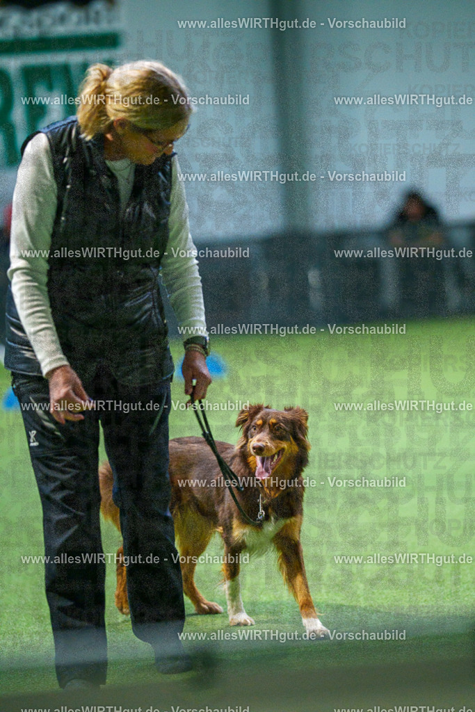 7R501338 | Professionelle Tierfotografie in Mönchengladbach von Daniel Wirth (allesWIRTHgut). Liebevolle & natürliche Bilder von Hunden & Katzen für unvergessliche Erinnerungen.