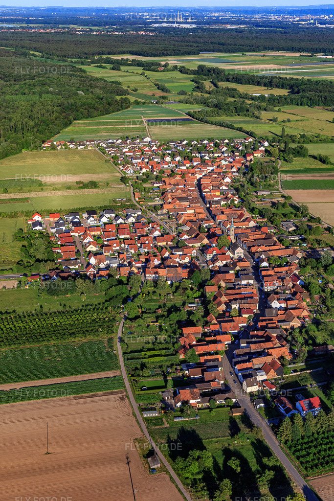 Luftbild: Dorfansicht von Nordwesten in Erlenbach bei Kandel im Bundesland Rheinland-Pfalz in Deutschland. Foto: IMG_115085.jpg vom 13.06.2019 durch Werner Riehm/FLY-FOTO.de