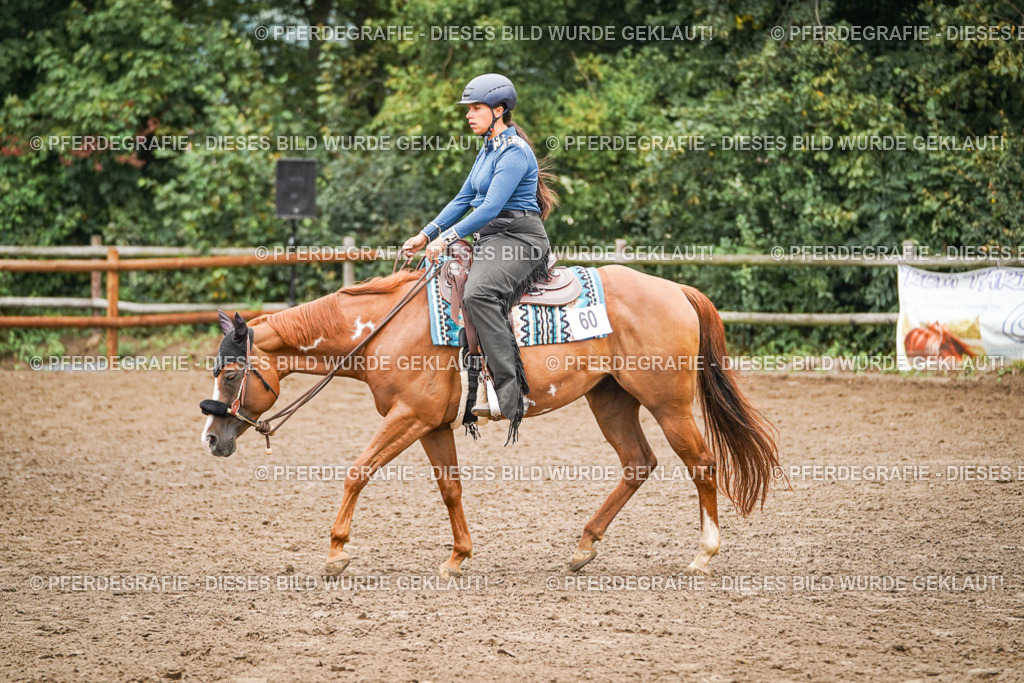 DSC02281 | Pferdegrafie