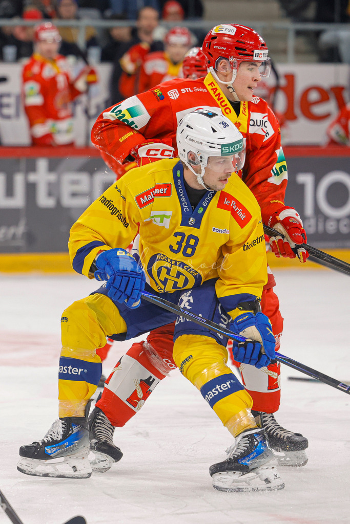 EHCB vs HCD 20260106_wb-1118 | Sportbilder, Sportfotograf, Hochzeits- und Eventfotografin, Flugshows, Portraits und Tiershooting, Aviation, Downhill, Nationalleague, Swissleague, International
