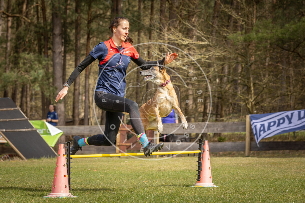 Pfotenfotografie_DV3A6415 | Hundefotografie, Tierfotograf, Pfotenfotografie, Fotoshooting Hund, Hunde Portrait, Hundesport, Hundeportraits, Heideshooting, Hunde, Sportfotograf, Hundefotograf, Turnierhundsport, THS,  - Realisiert mit Pictrs.com