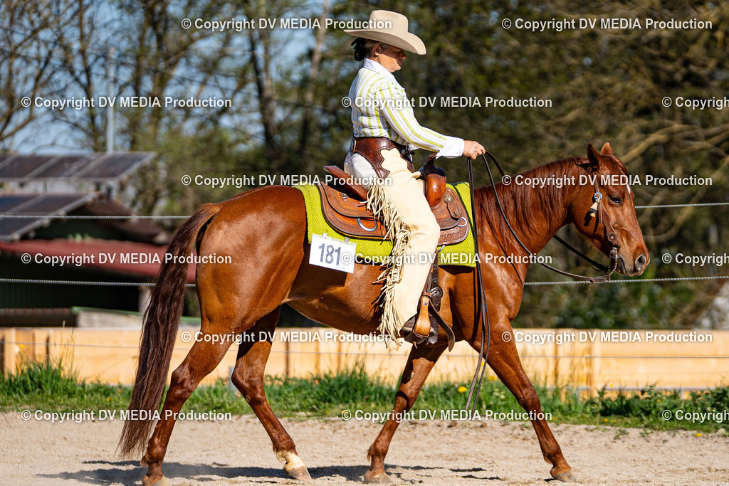 Balingen Tag 1-836 | dv-media-shop - Realisiert mit Pictrs.com