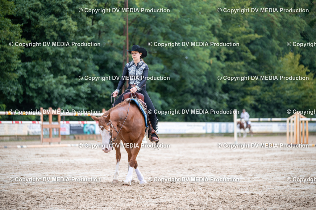 ZS3_4987 | dv-media-shop - Realisiert mit Pictrs.com