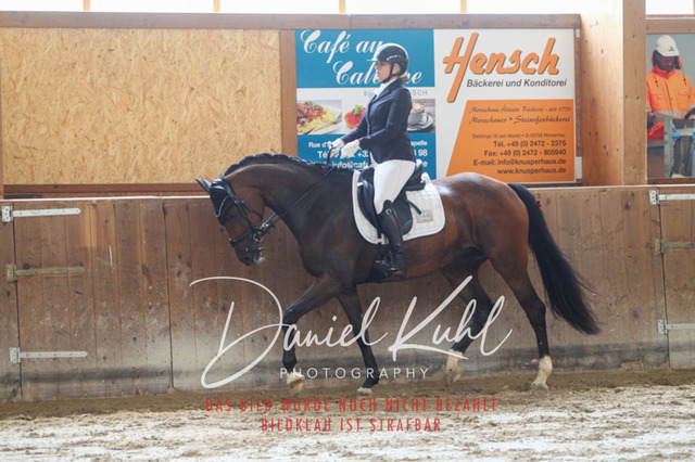 DKP43114 | Turnierfotos kaufen im Webshop von Daniel Kuhl Photography – entdecke professionelle Reitsportfotos aus Turnieren & Events. Hochwertige Turnierbilder online bestellen & sichern. Jetzt Fotos von Reitsportturnieren kaufen!