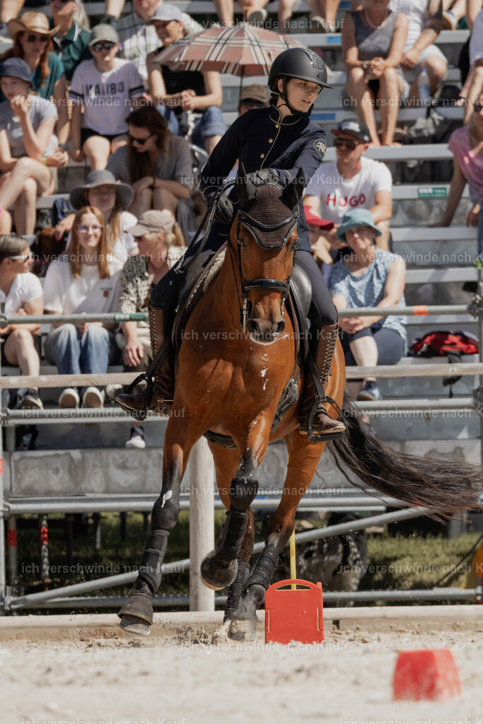 _AM18940 | Pferd International München 2025