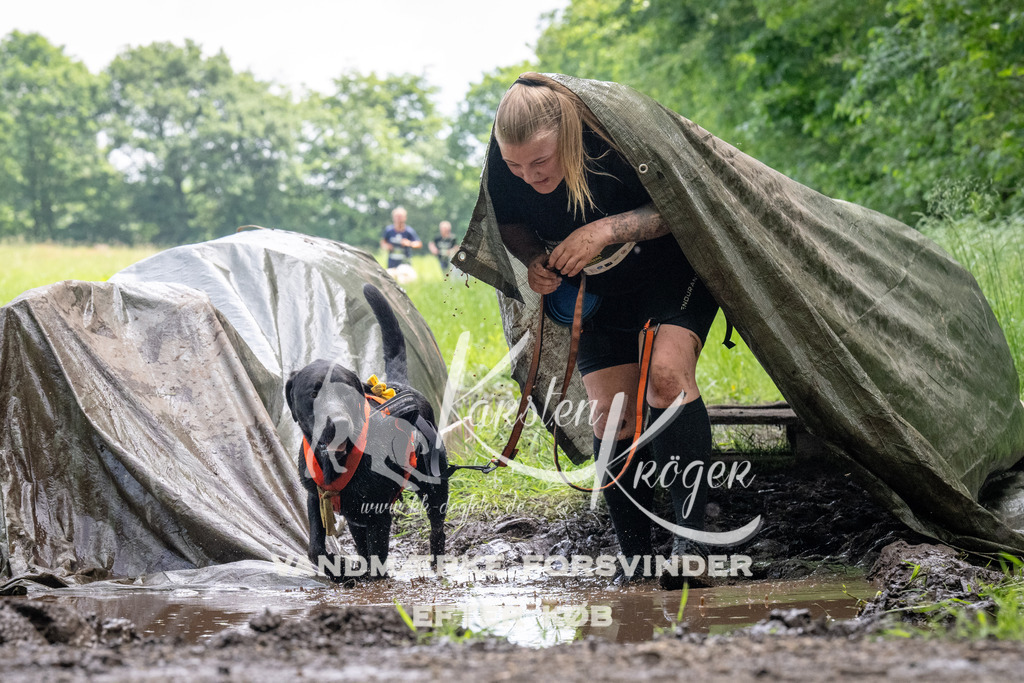 1136_ZZ93202 | kk-dogfotos