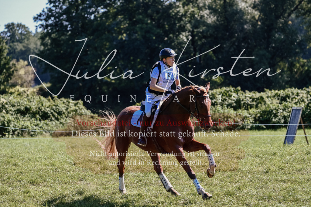 DSC_1367 | Pferde- und Turnierfotografie in Westsachsen. Pferdeportraits, Auftragszeichnungen und intuitive Kunst.