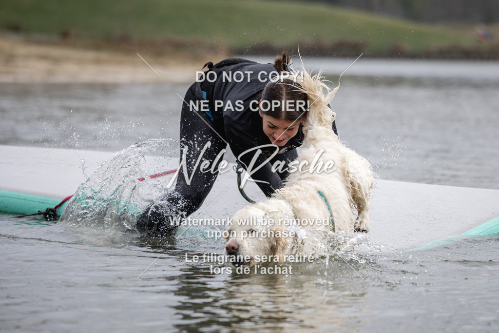 nelerasche_Hulsbeek_Sa1230-1330_15 | nelerasche
