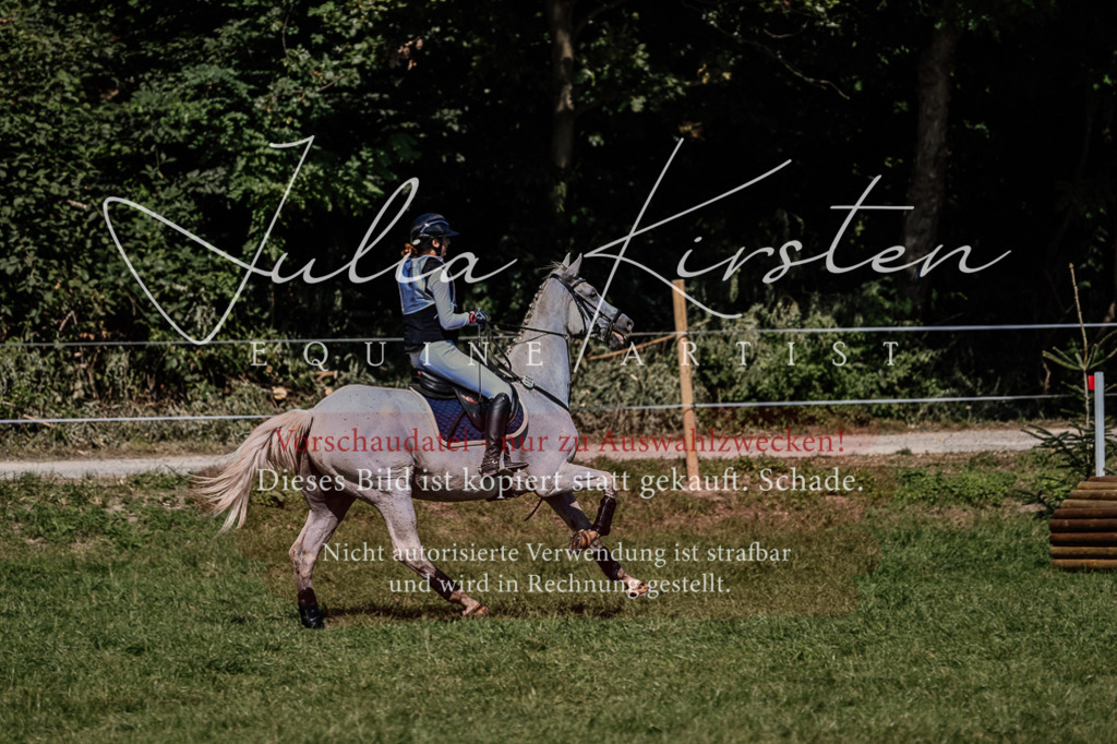 DSC_2051 | Pferde- und Turnierfotografie in Westsachsen. Pferdeportraits, Auftragszeichnungen und intuitive Kunst.