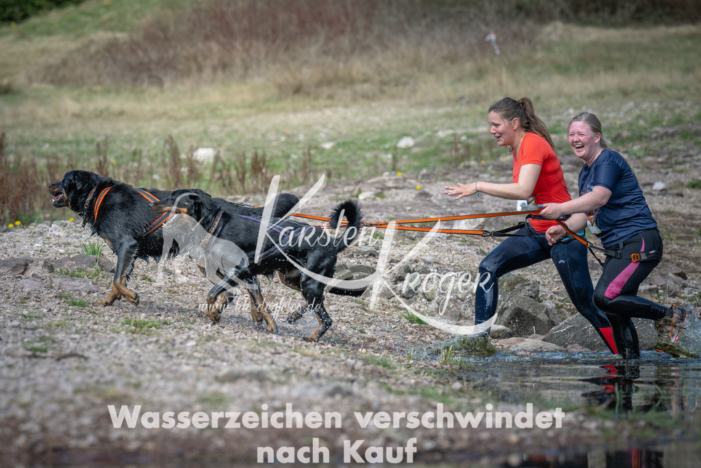 1113_ZZ93369 | kk-dogfotos