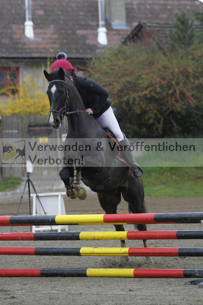 _MG_4173 | equestrian-live-com