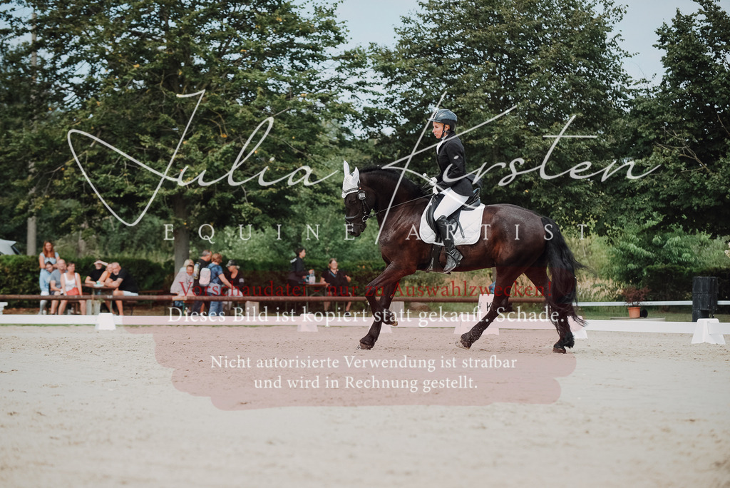 DSC_8654 | Pferde- und Turnierfotografie in Westsachsen. Pferdeportraits, Auftragszeichnungen und intuitive Kunst.