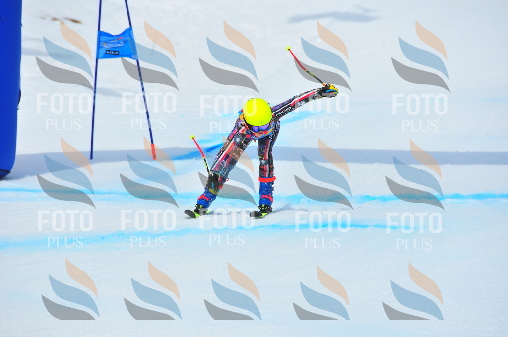 DSC_6423 | holidayphoto