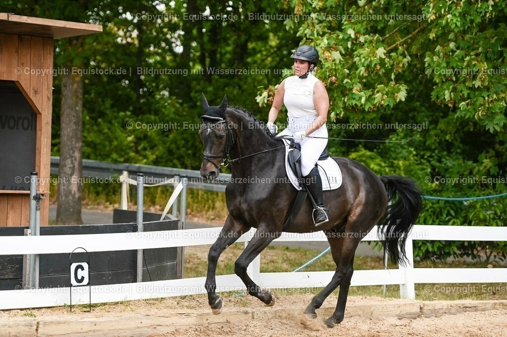 20230715_05_Dressurprüfung Kl.A++_0170 | equistock