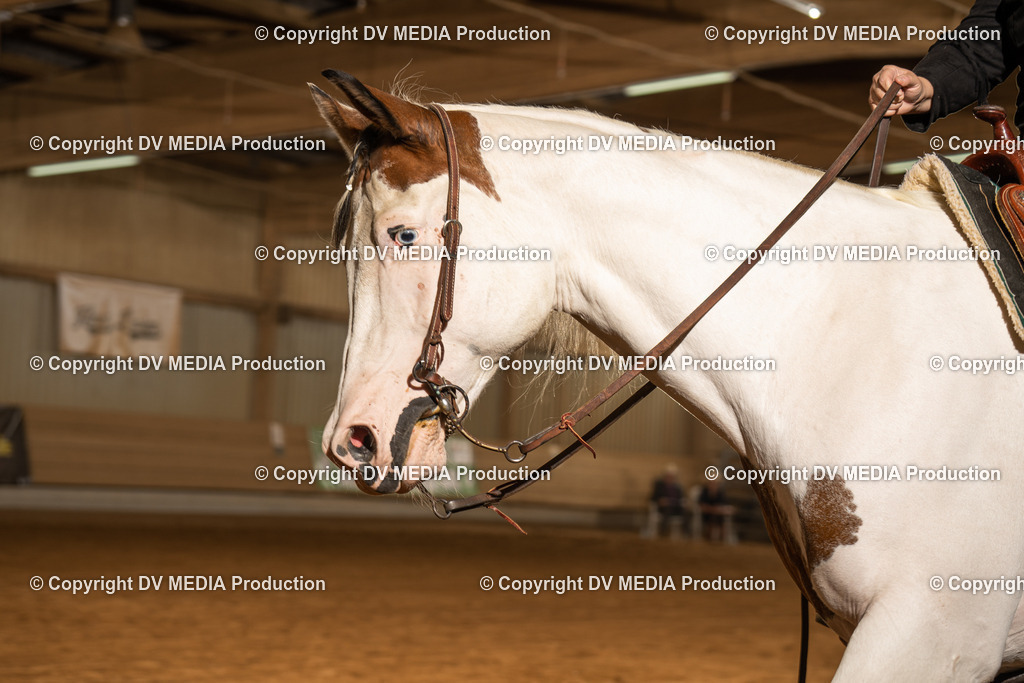 NID01363 | dv-media-shop - Realisiert mit Pictrs.com