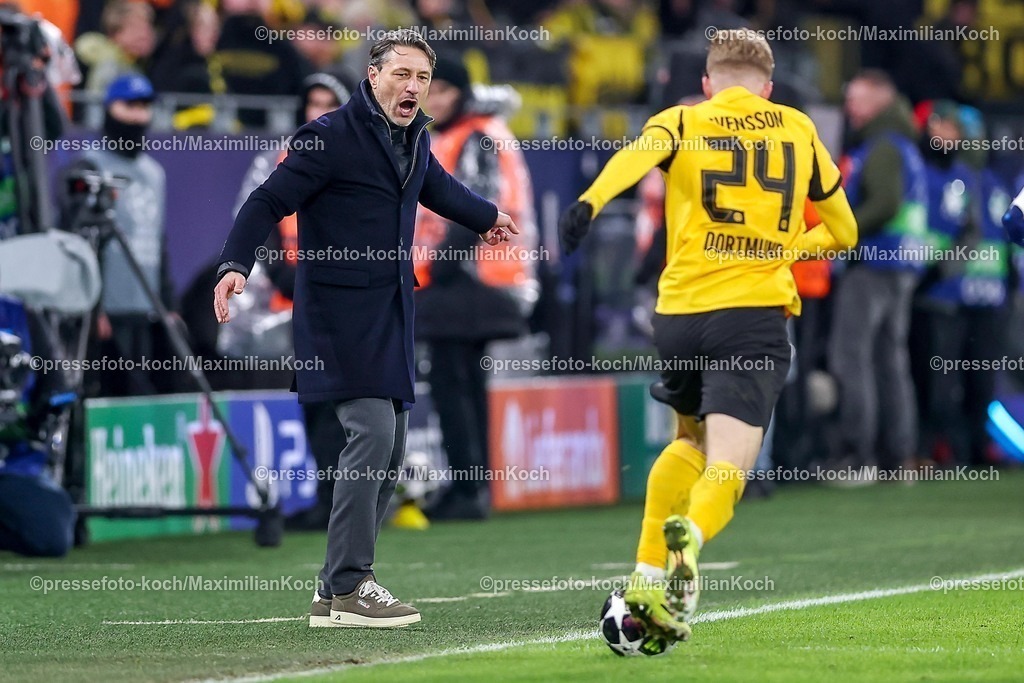UCL17022601107 | 17.02.2026, Fußball, UEFA Champions League, Borussia Dortmund - Atalanta Bergamo, BVB Stadion, Play-Offs Hinspiel, Saison 2025 2026: Cheftrainer Niko Kovac (BVB #hc) gestikulierend am Spielfeldrand neben Daniel Svensson&nbsp;(BVB #24)   Regulations prohibit any use of photographs as image sequences and or quasi-video.