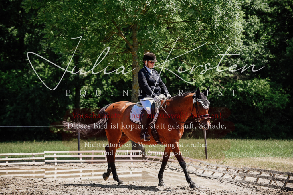 DSC_1996 | Pferde- und Turnierfotografie in Westsachsen. Pferdeportraits, Auftragszeichnungen und intuitive Kunst.