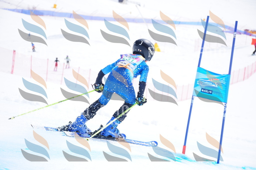 DSC_2145 | holidayphoto