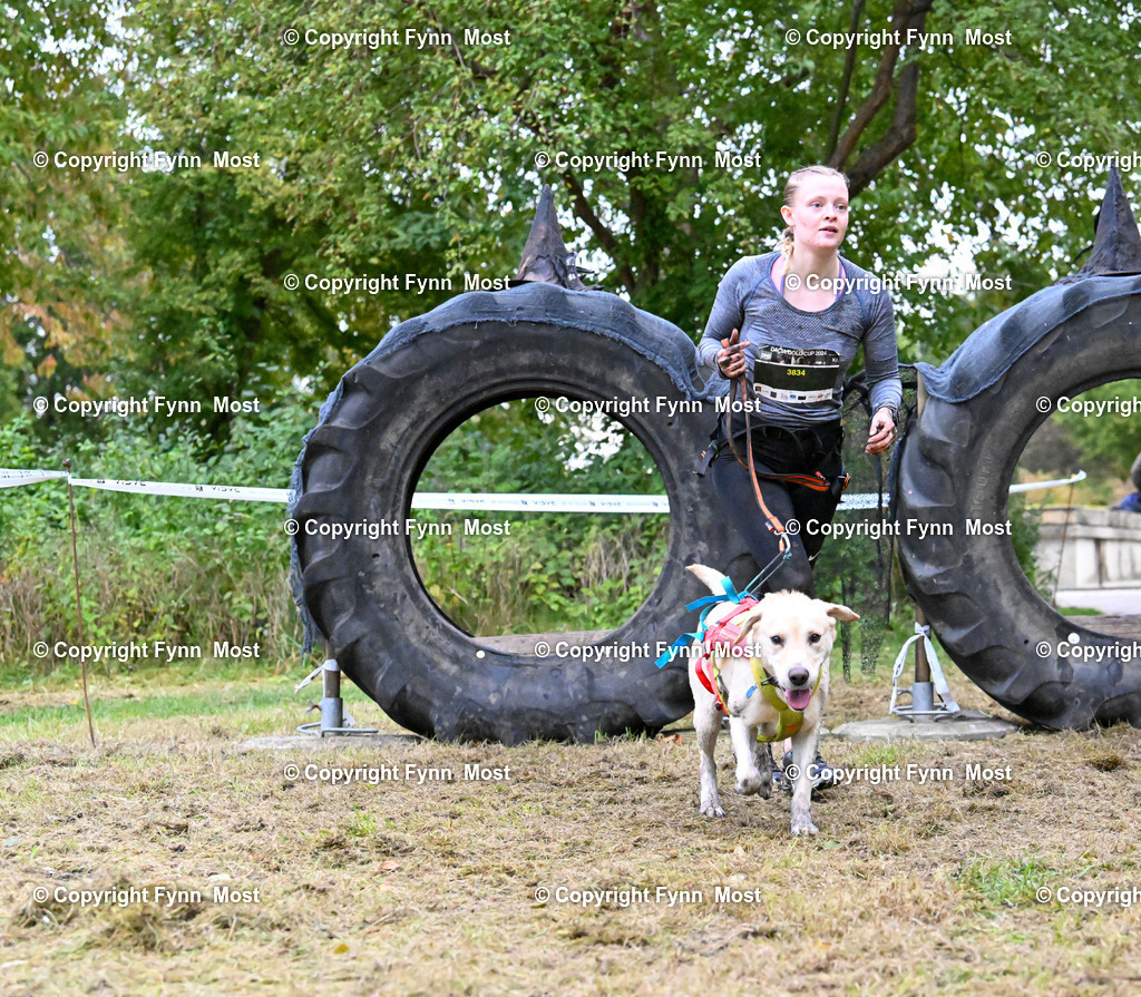 DSC_7852 | Hallo und herzlich Willkommen auf meiner Shop-Seite Fynn Most.

Ich wünsche Dir viel Spaß beim stöbern durch die Bilder, wenn Du Fragen hast oder Bilder vermisst, kannst du mir gerne eine Nachricht schreiben. - Realisiert mit Pictrs.com