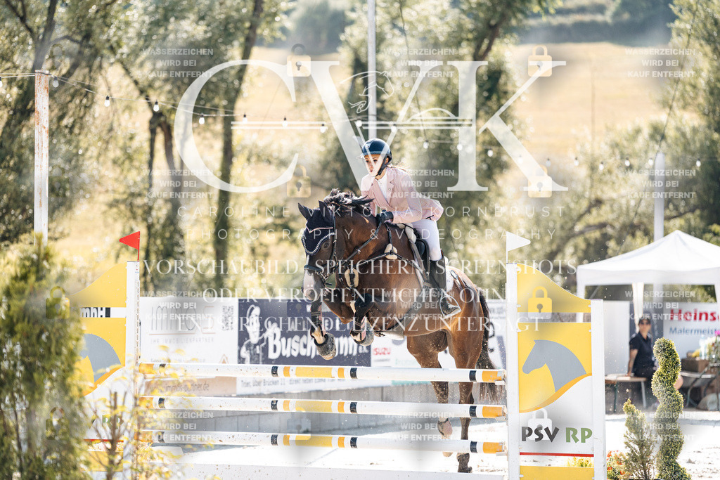 CK907706 | Turnierfotografie Pferdefotografie Trier Rheinland-Pfalz Pferdesport Reitsport Tierfotografie Sportfotografie Pferdevideo Pferdevideografie Equestrianvideography equestrianphotography  - Realisiert mit Pictrs.com