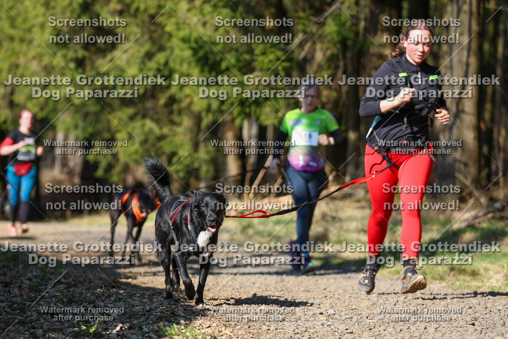 Dog Paparazzi - VCC26-72 | Dog Paparazzi Jeanette Grottendiek Fotografie & Videografie - Realisiert mit Pictrs.com