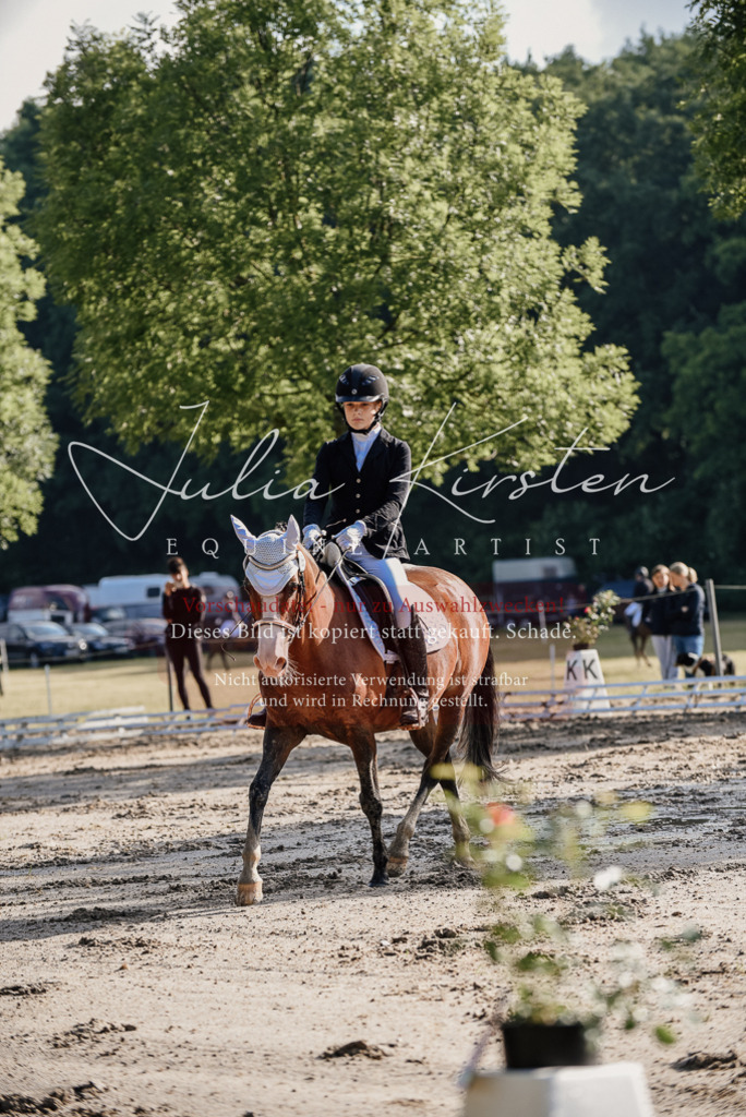 DSC_7807 | Pferde- und Turnierfotografie in Westsachsen. Pferdeportraits, Auftragszeichnungen und intuitive Kunst.