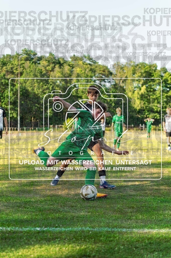 SVSTSV-1028 | Fotografie Stopat - Realisiert mit Pictrs.com
