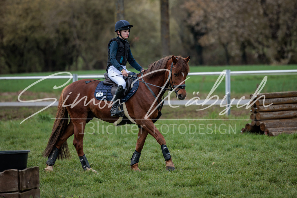 20260329-_3LI4848 | Tierfotografie Pferde, Hunde, Katzen, Haustiere.
Turnierfotografie Reitturniere, Reiten, Springreiten, Dressur in Hanau, dem Main-Kinzig-Kreis und dem Rhein-Main- Gebiet um Frankfurt