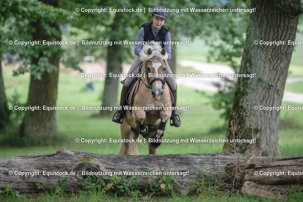 20250726_Vielseitigkeitslehrgang-Marbach_0202 | Foto: Thomas Hartig