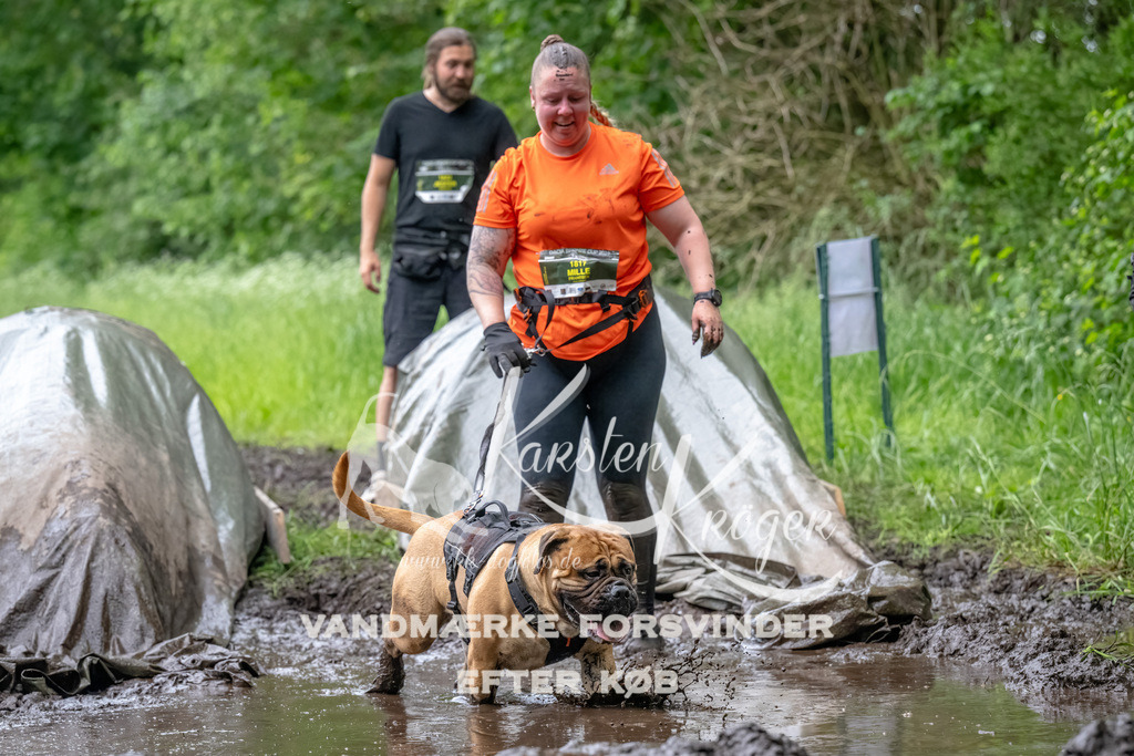 1602_ZZ91847-Bearbeitet | kk-dogfotos