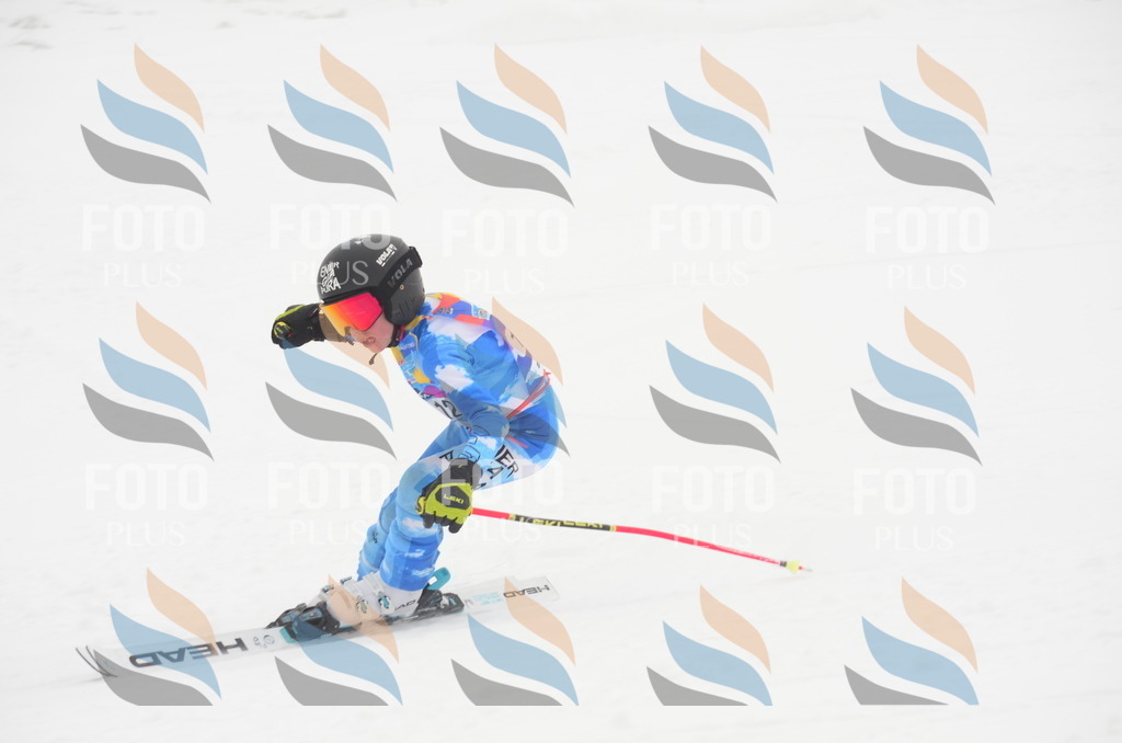 C1486 | holidayphoto