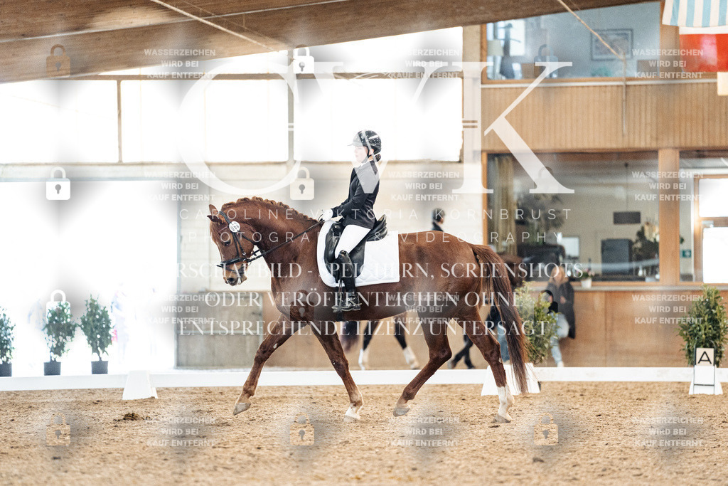 CK908306 | Turnierfotografie Pferdefotografie Trier Rheinland-Pfalz Pferdesport Reitsport Tierfotografie Sportfotografie Pferdevideo Pferdevideografie Equestrianvideography equestrianphotography  - Realisiert mit Pictrs.com
