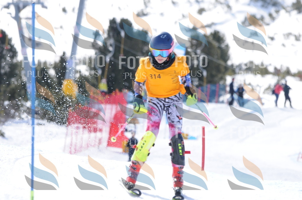 C9194 | holidayphoto