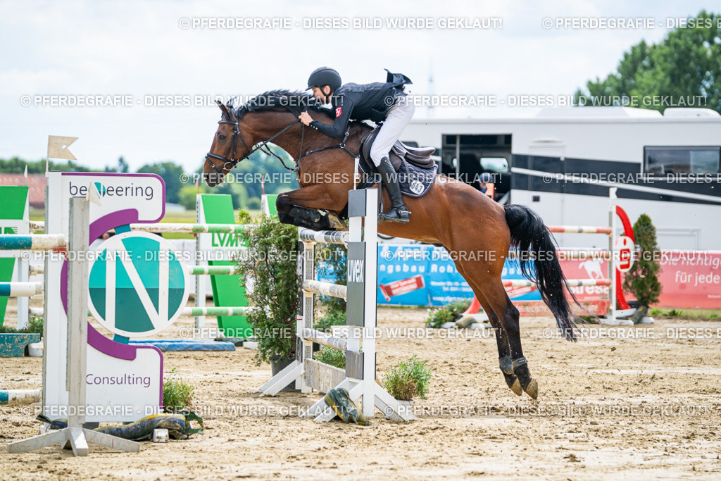 DSC05801 | Pferdegrafie